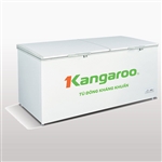 Tủ đông kháng khuẩn Kangaroo KG1009C1